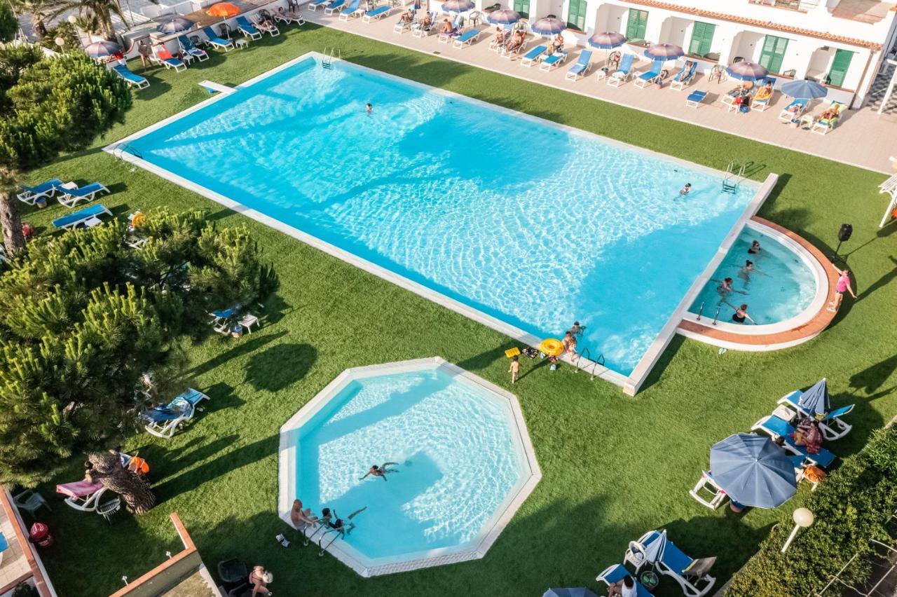 D'amato 4*
