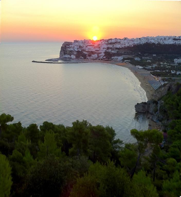 D'amato 4* Peschici